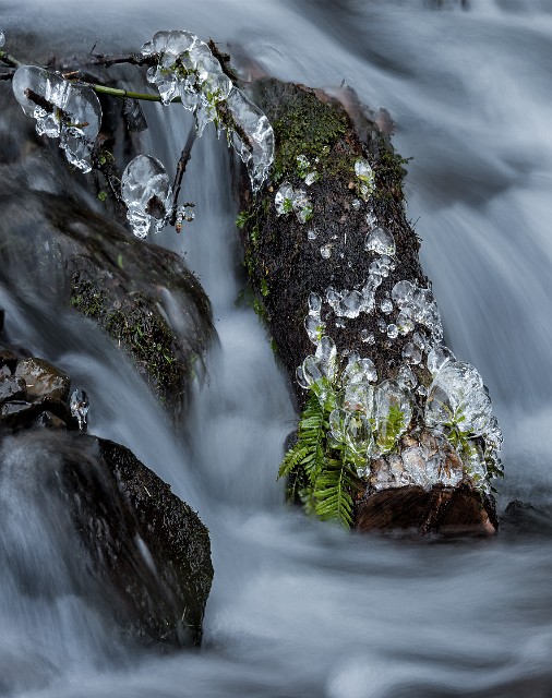 Wahkeena Creek Ice 15-5435a.jpg